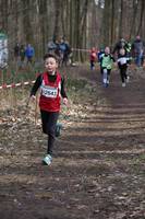 11. Faschingswaldlauf  - 0,8km und 2,5km