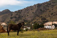 Trainingslager Nerja Vermischtes