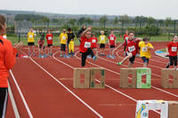 21. LTV Sportfest Bad Dürkheim - Wettkämpfe