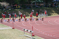 IMG_2567.jpg