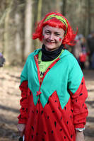 Faschingswaldlauf - Allgemein