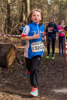 Faschingswaldlauf - Lauf 1 - 800m WKU10