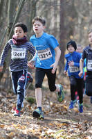 Faschingswaldlauf - Lauf 3 - 800m U12