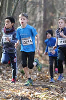 Faschingswaldlauf - Lauf 3 - 800m U12