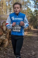 Faschingswaldlauf - Lauf 5 - 2,5km