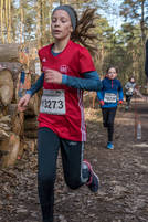 Faschingswaldlauf - Lauf 5 - 2,5km