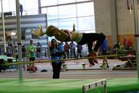 RLP-Hallenmeisterschaften