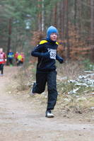 Faschingswaldlauf - Lauf 5 - 2,5 km