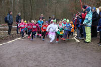 18_02_10_H_IMG_-11004.jpg