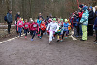 18_02_10_H_IMG_-11005.jpg