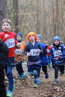 Faschingswaldlauf - Lauf 2 - 800 m MKU10