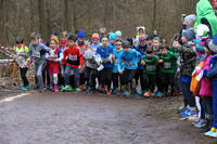 18_02_10_H_IMG_-13000.jpg