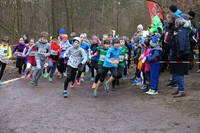 18_02_10_H_IMG_-13003.jpg