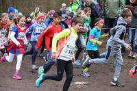 Faschingswaldlauf - Lauf 3 - 800 m M/WKU12