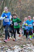 Faschingswaldlauf - Lauf 3 - 800 m M/WKU12
