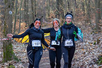 Faschingswaldlauf - Lauf 4 - 5 km