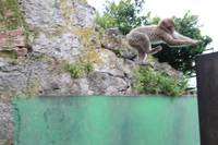 Trainingslager Nerja