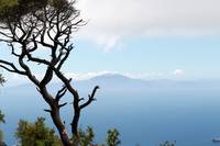 Trainingslager Nerja