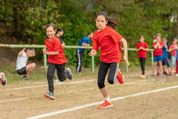 BTF Deidesheim