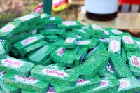 Faschingswaldlauf - allgemein