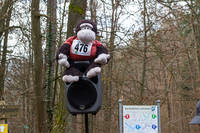 16. Faschingswaldlauf - allgemein