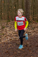 16. Faschingswaldlauf - 800m