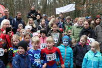 20. Faschingswaldlauf 800m