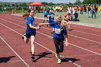 30. Bad Dürkheimer Leichtathletik-Meeting