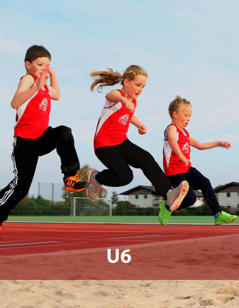 U6