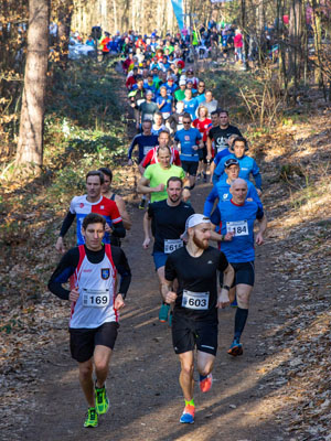 19_02_16_FWL_10k_1